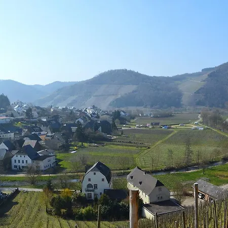 Steuer 2